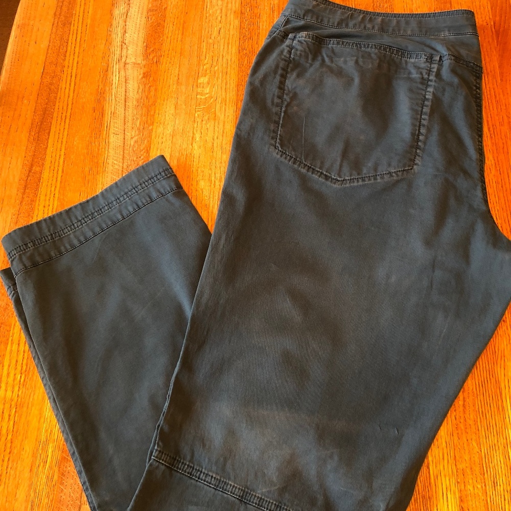 Orvis women's pants (blue)